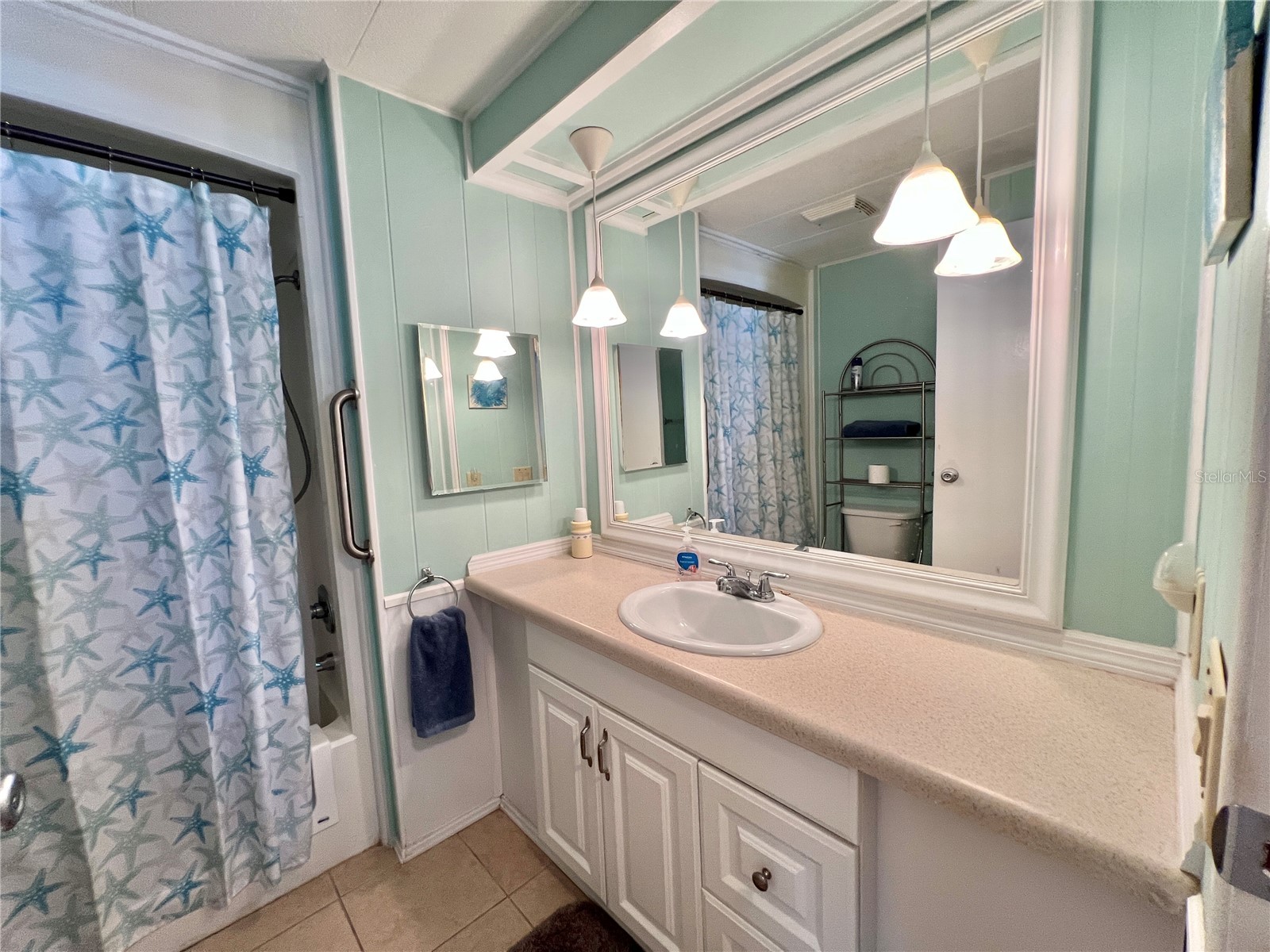 139 Aspen Circle Leesburg FL 34748 G5105815 image29