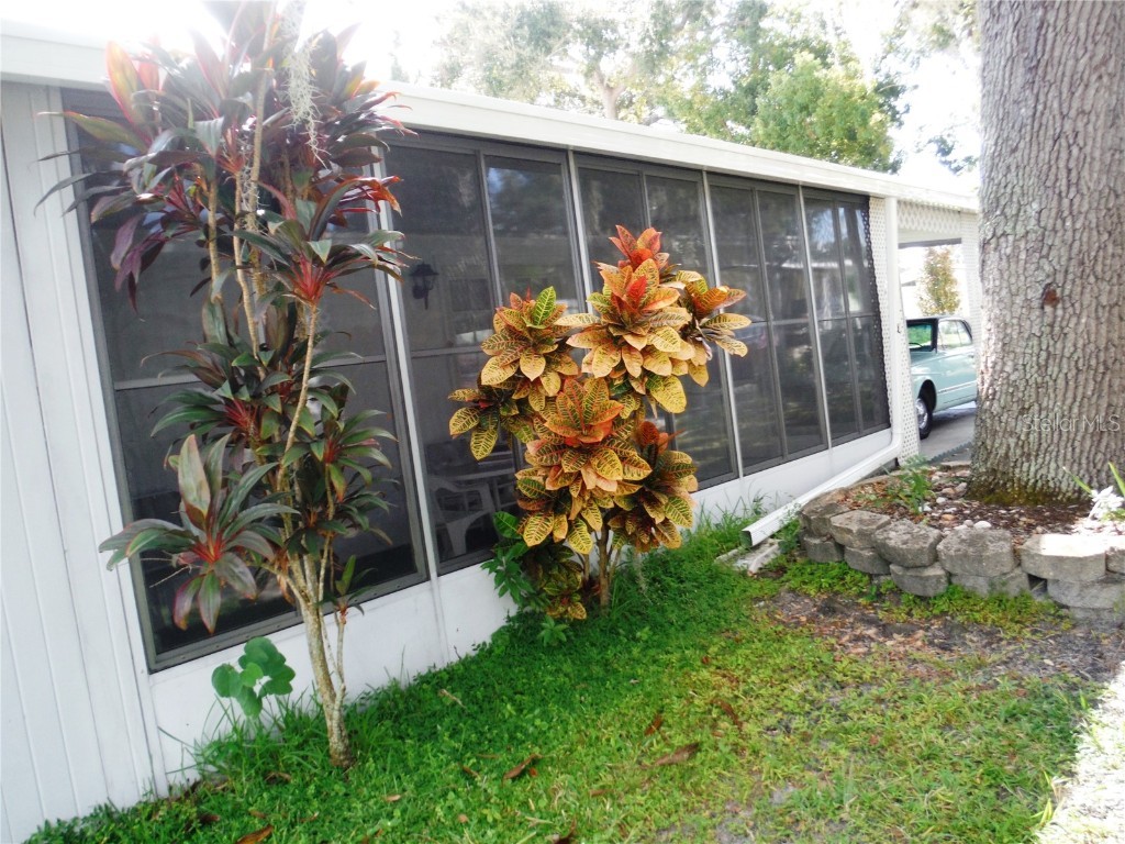 139 Forest Lane #12 Safety Harbor FL 34695 TB8432229 image29