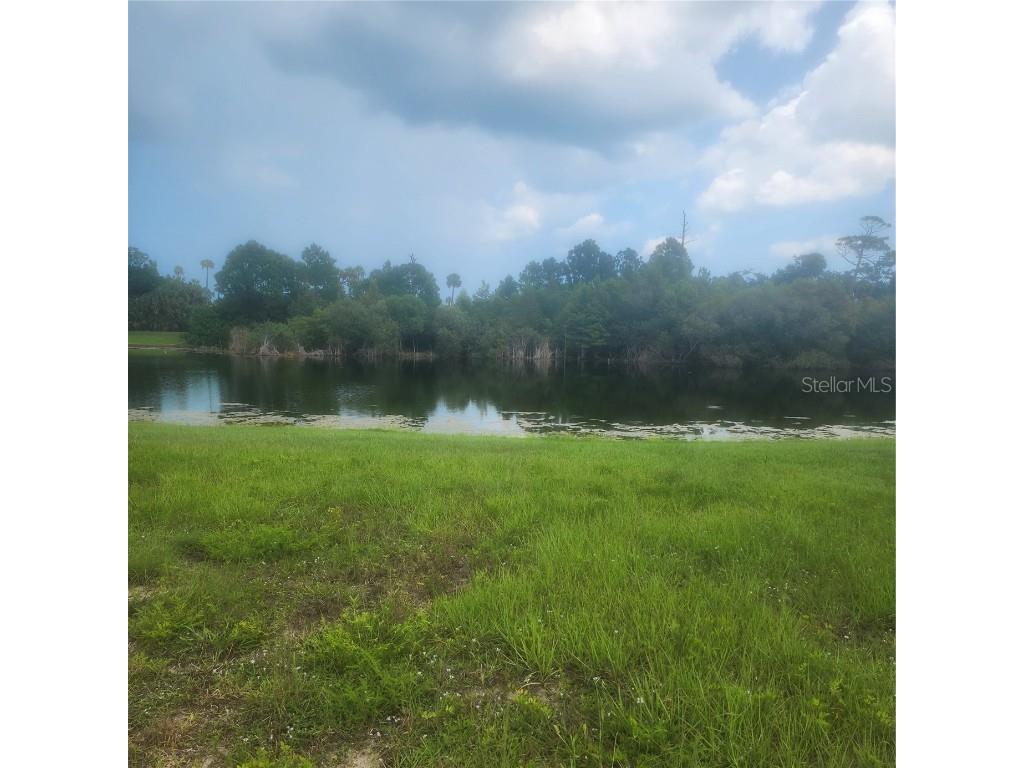 139 Heron Drive Palm Coast FL 32137 FC312103 image1