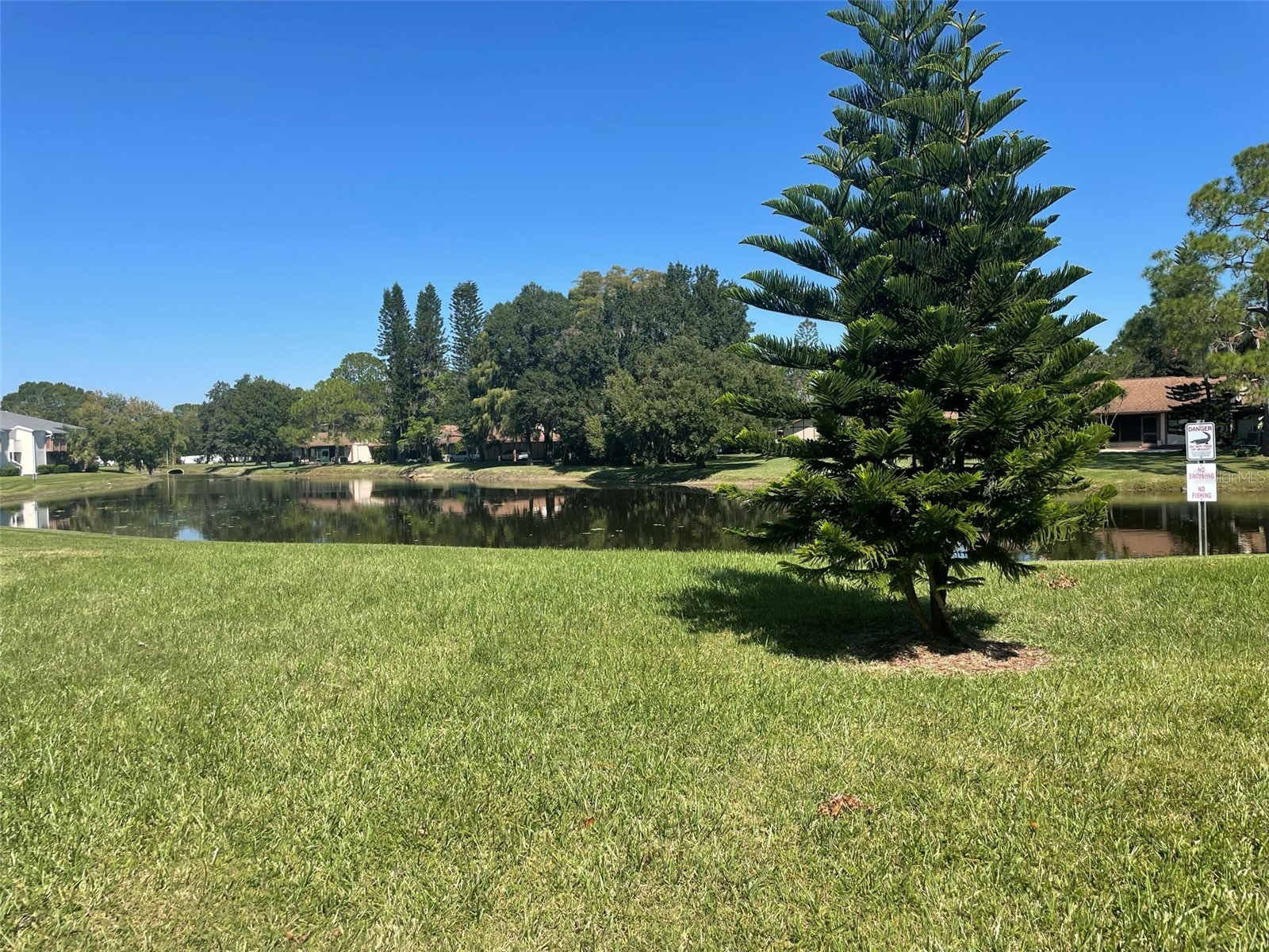 139 Hunter Lake Drive #B Oldsmar FL 34677 TB8492179 image32