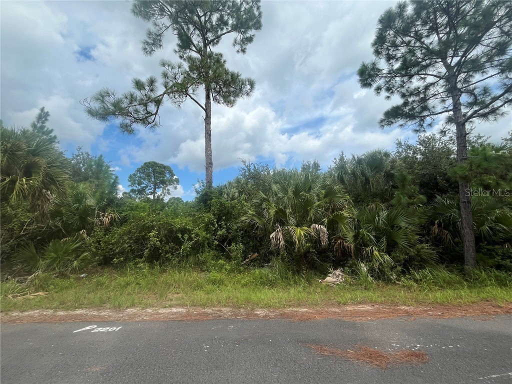 139 Lafleur Street SW Palm Bay FL 32908 OK224485 image1