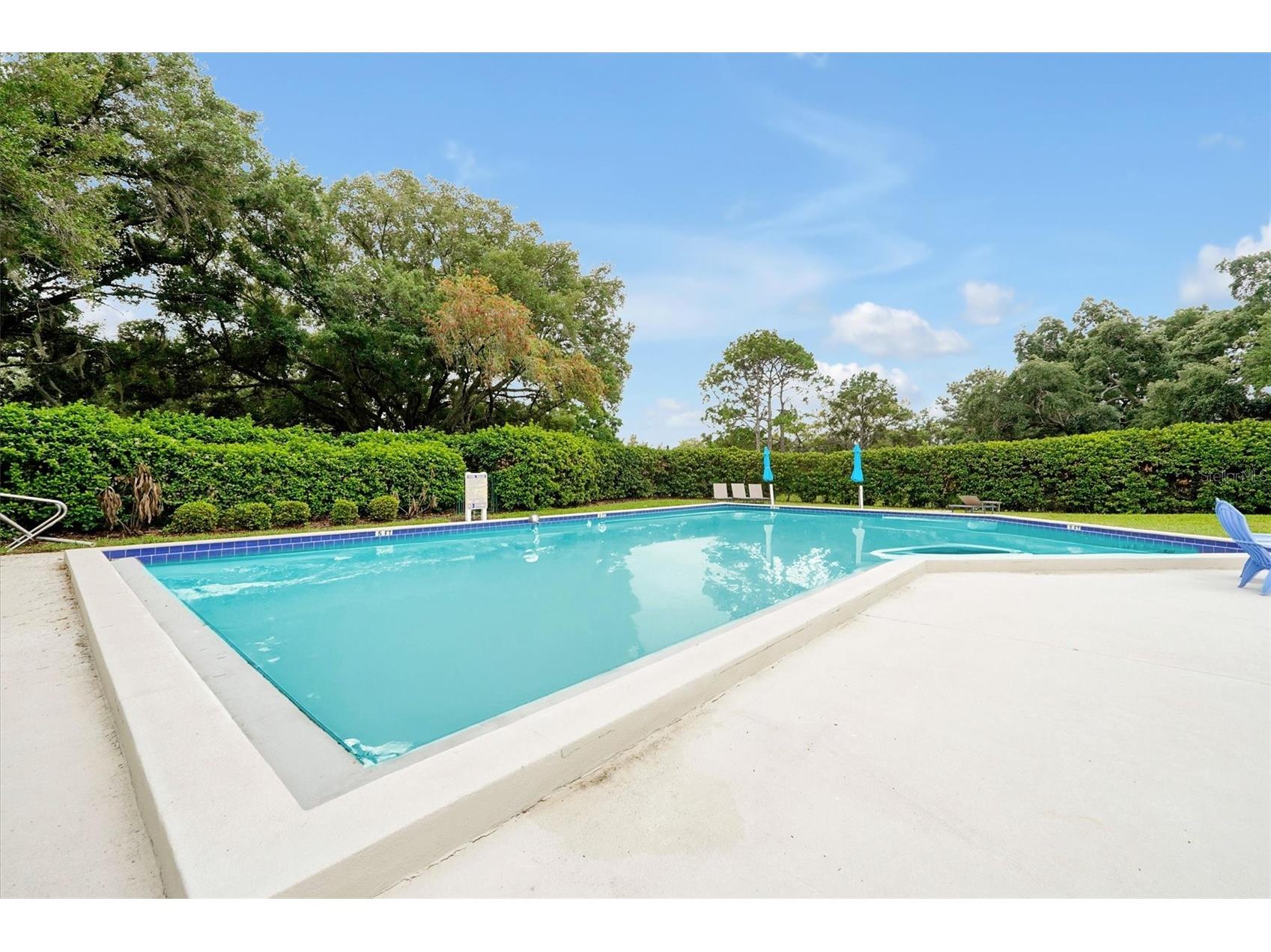 139 Woden Way Winter Haven FL 33884 - LAKE ELOISE P4938404 image57