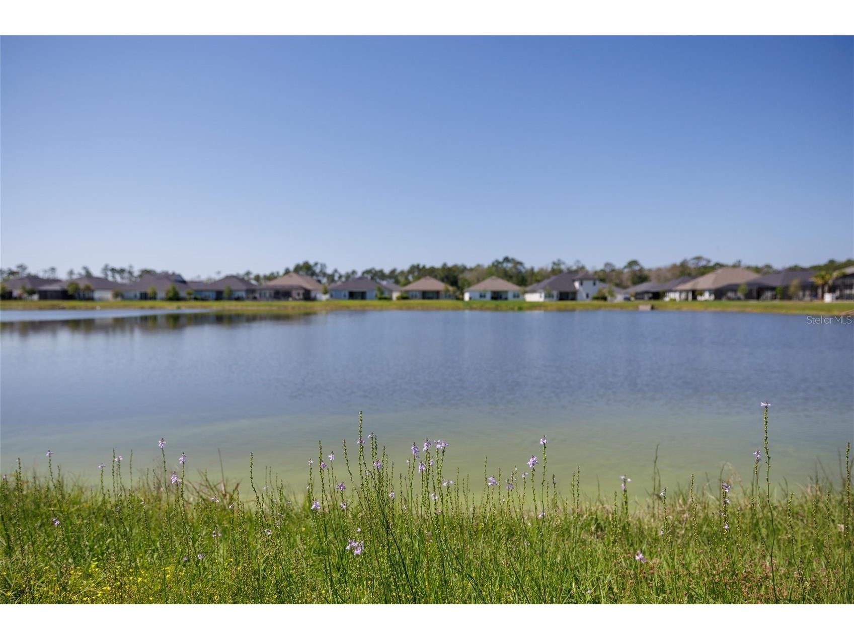 139 Wood Stork Lane Palm Coast FL 32164 FC317261 image34
