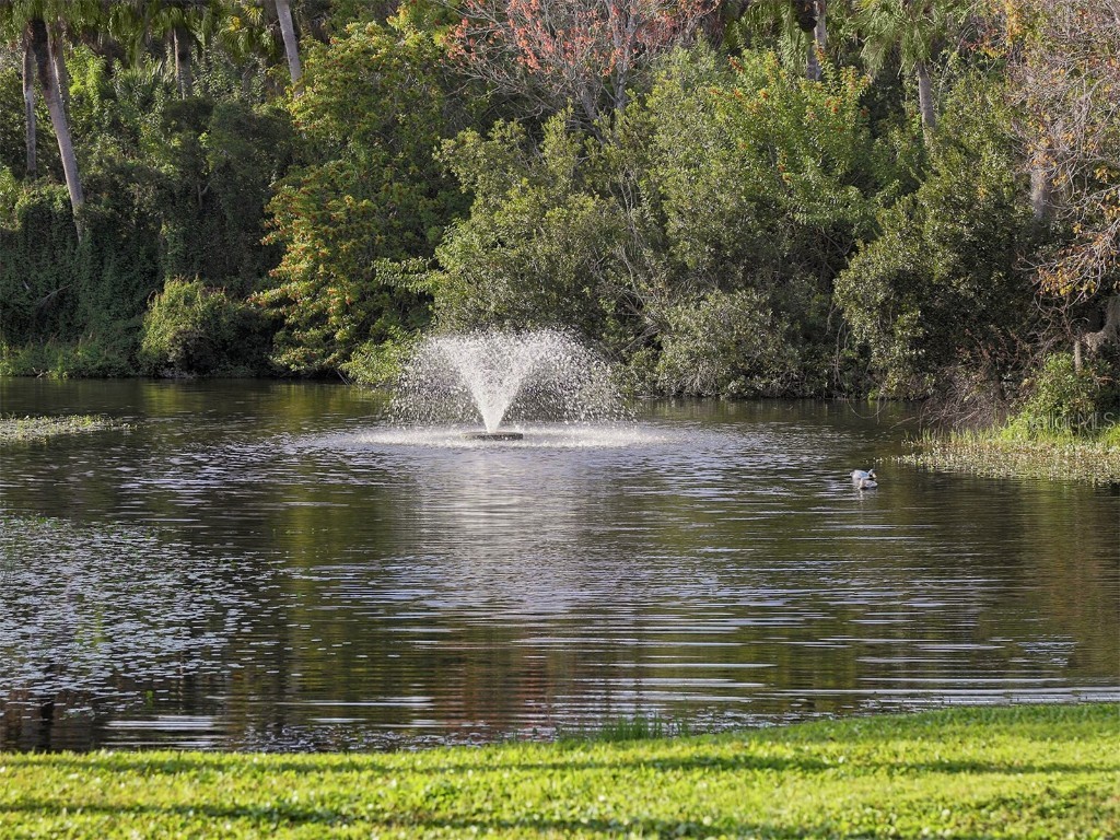 139 Woodland Place #139 Osprey FL 34229 N6141829 image68