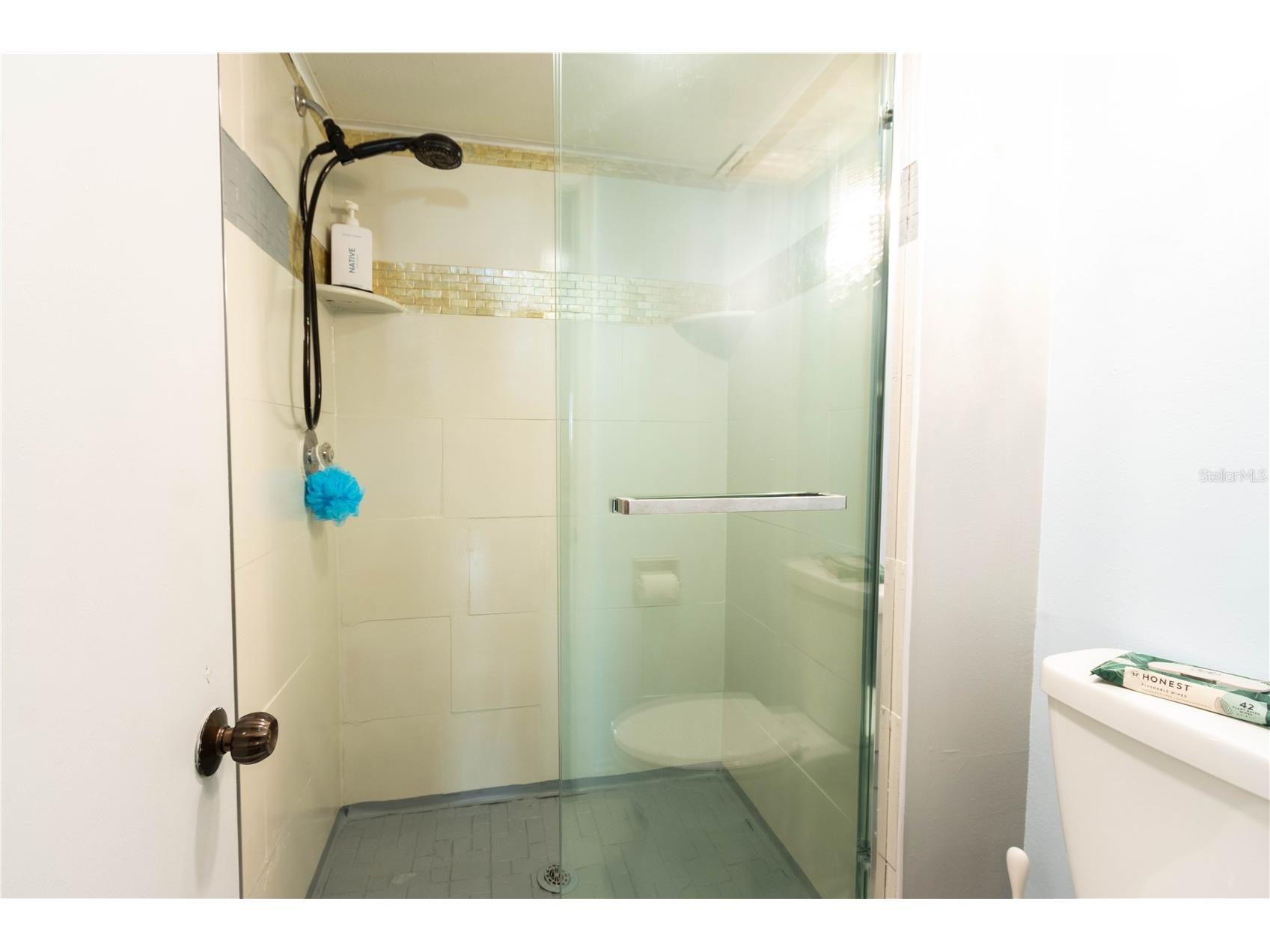 1390 Gulf Boulevard #102 Clearwater FL 33767 - GULF OF MEXICO TB8482924 image38