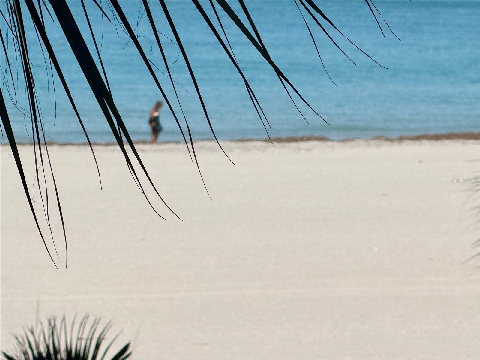 1390 Gulf Boulevard #102 Clearwater FL 33767 - GULF OF MEXICO TB8482924 image43