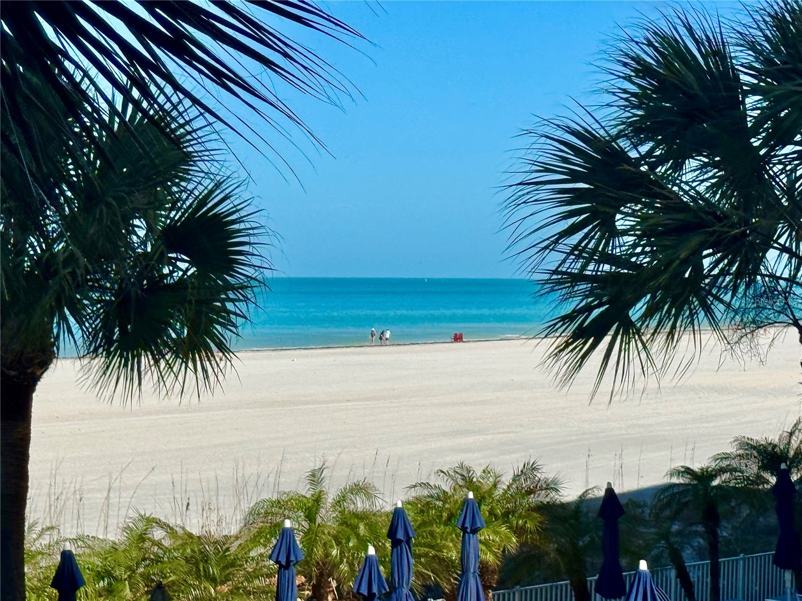 1390 Gulf Boulevard #102 Clearwater FL 33767 - GULF OF MEXICO TB8482924 image5