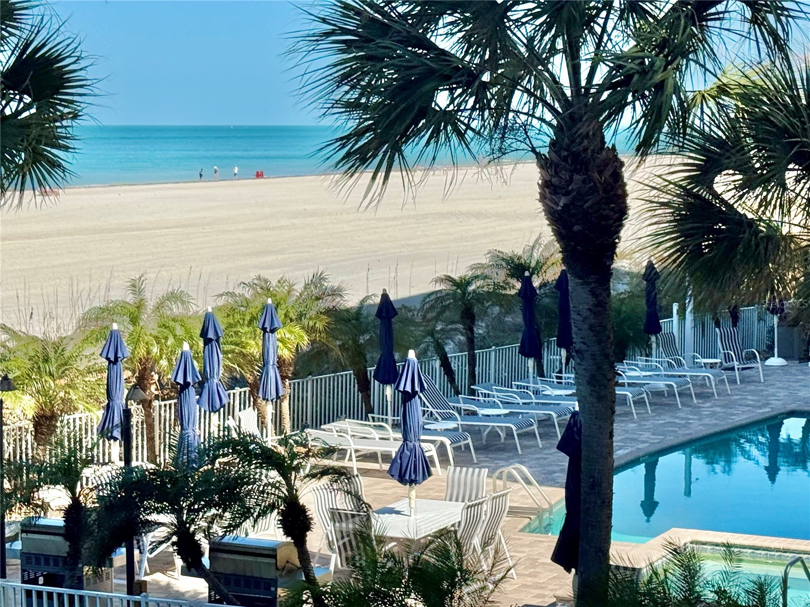 1390 Gulf Boulevard #102 Clearwater FL 33767 - GULF OF MEXICO TB8482924 image6