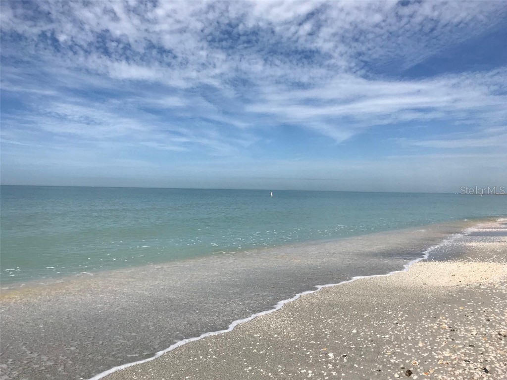 1390 Gulf Boulevard #801 Clearwater FL 33767 - GULF OF AMERICA TB8457863 image56