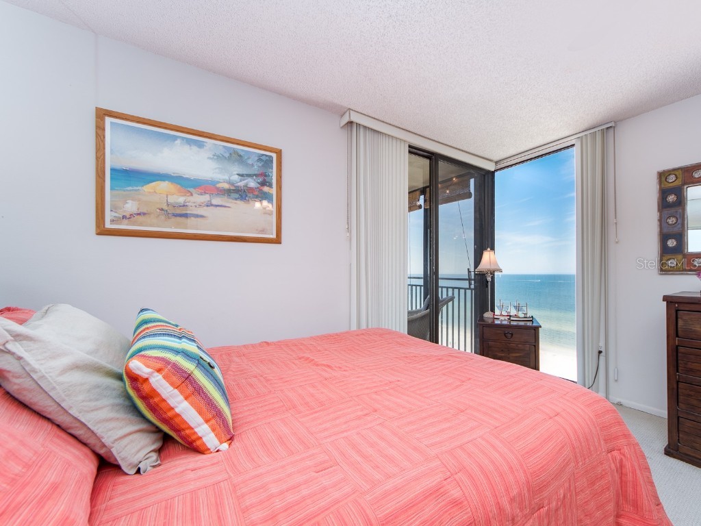 1390 Gulf Boulevard #901 Clearwater Beach FL 33767 TB8421302 image21