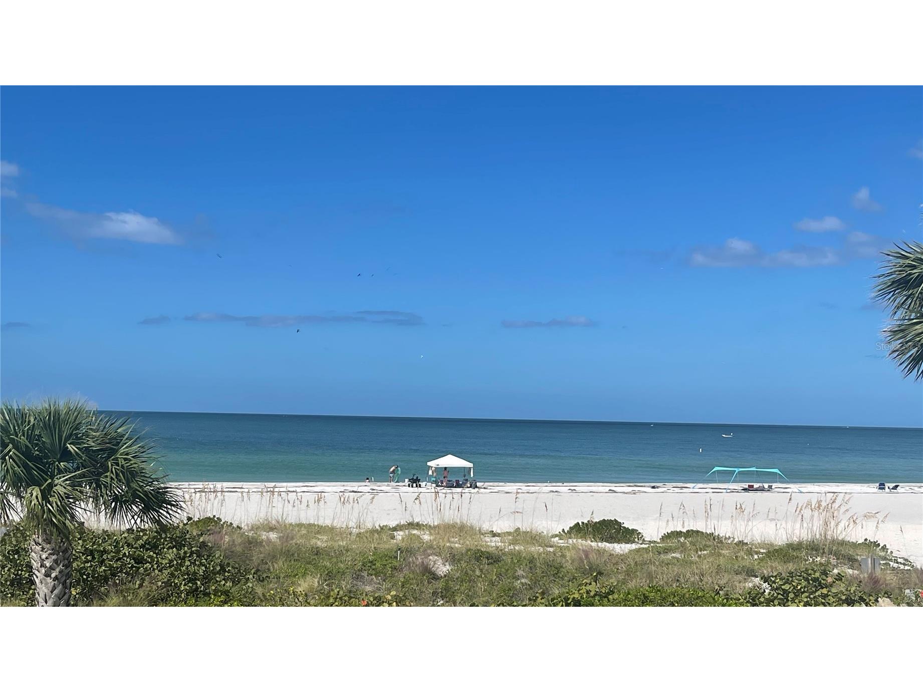 1390 Gulf Boulevard #PH-3 Clearwater Beach FL 33767 - GULF OF MEXICO TB8503851 image57