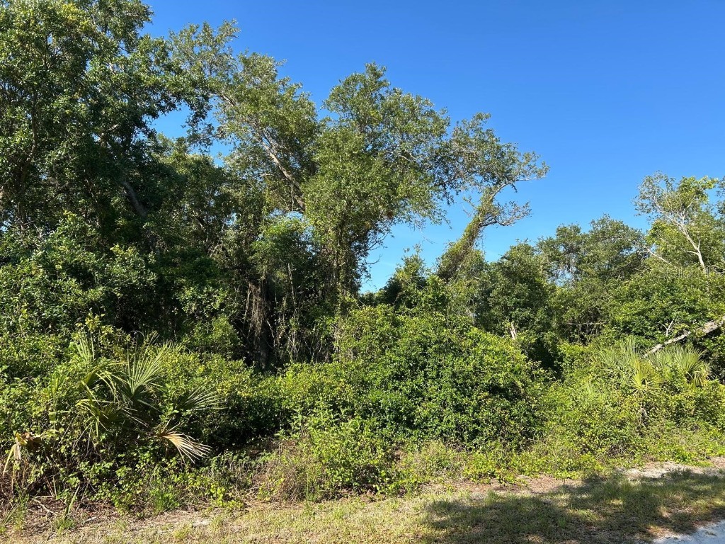 1390 Hillary Terrace Punta Gorda FL 33983 A4649915 image2