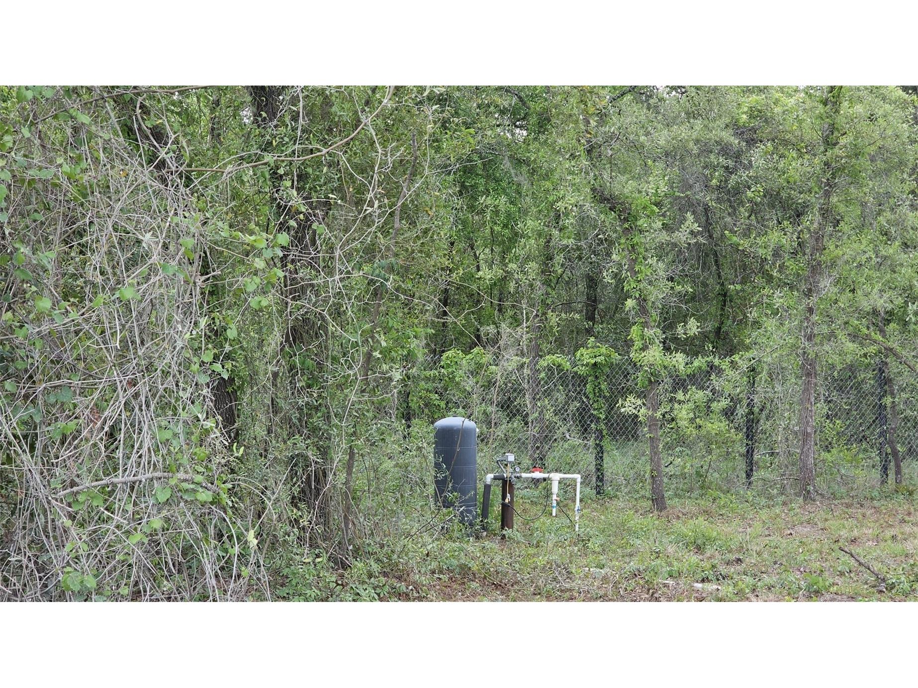 1390 NE 130th Avenue Williston FL 32696 OM722282 image17