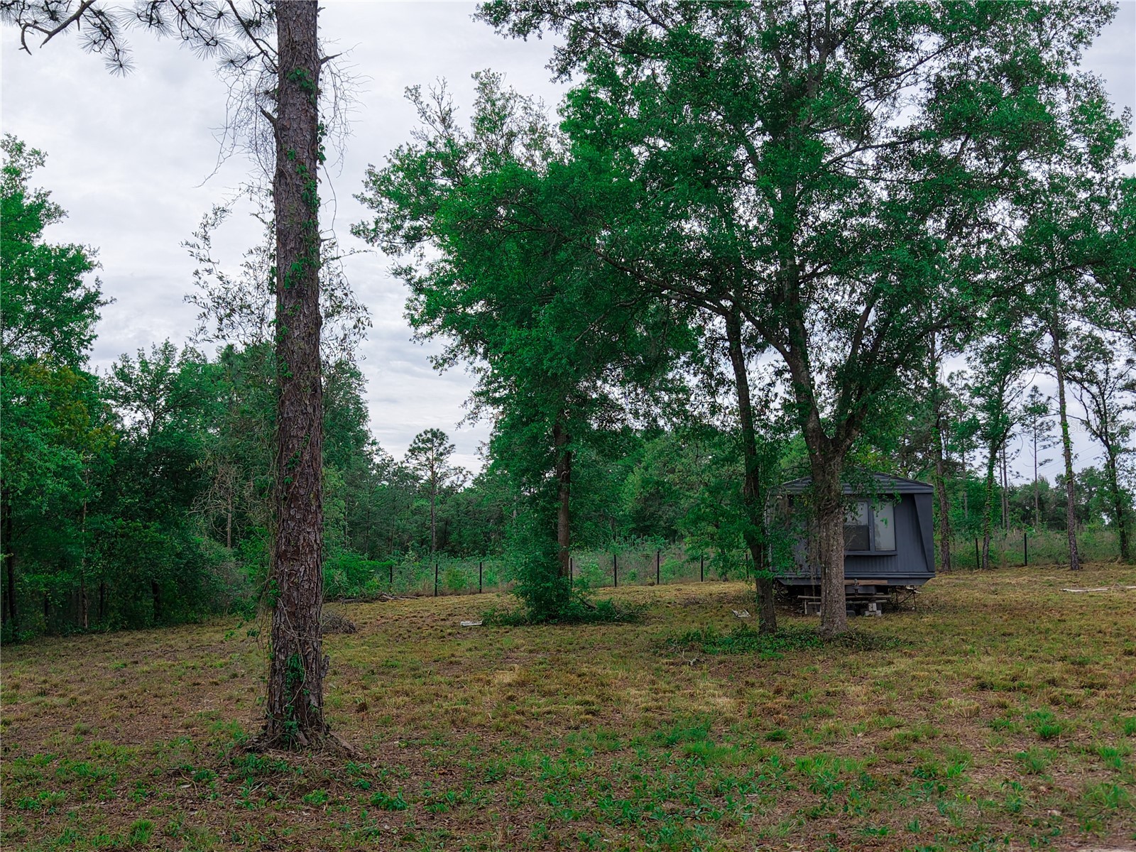 1390 NE 130th Avenue Williston FL 32696 OM722282 image19