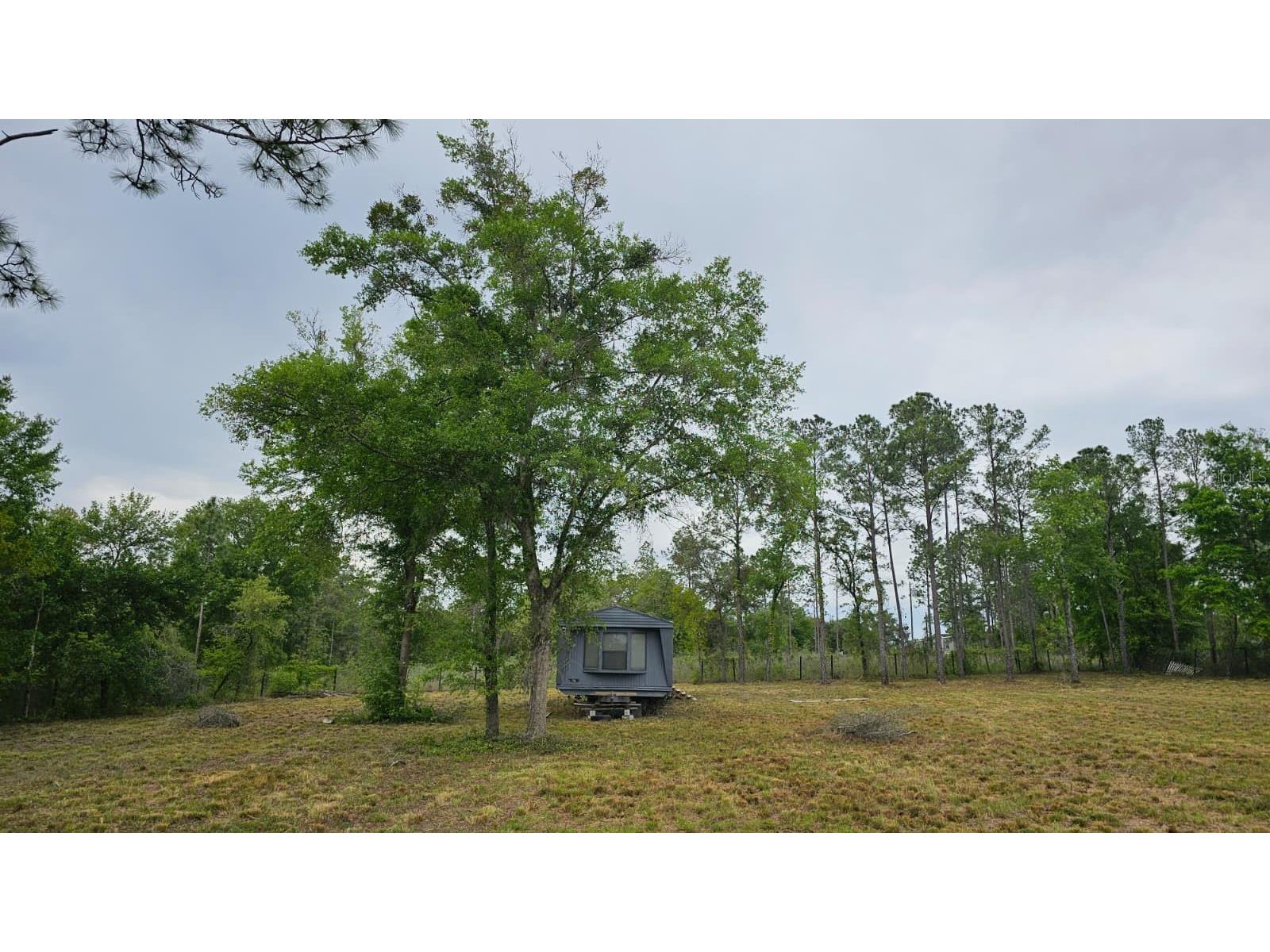 1390 NE 130th Avenue Williston FL 32696 OM722282 image3