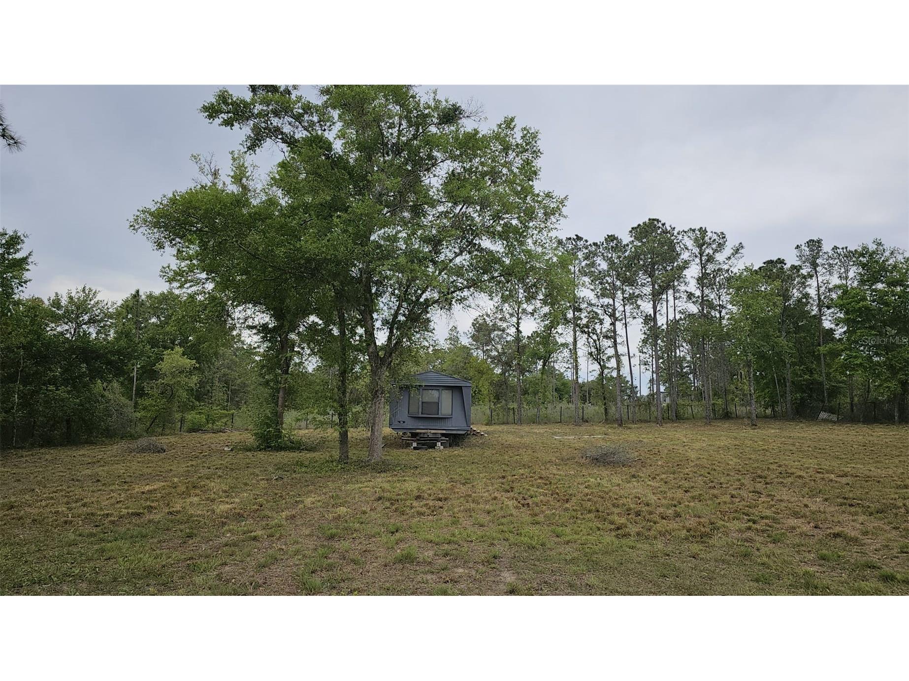 1390 NE 130th Avenue Williston FL 32696 OM722282 image7