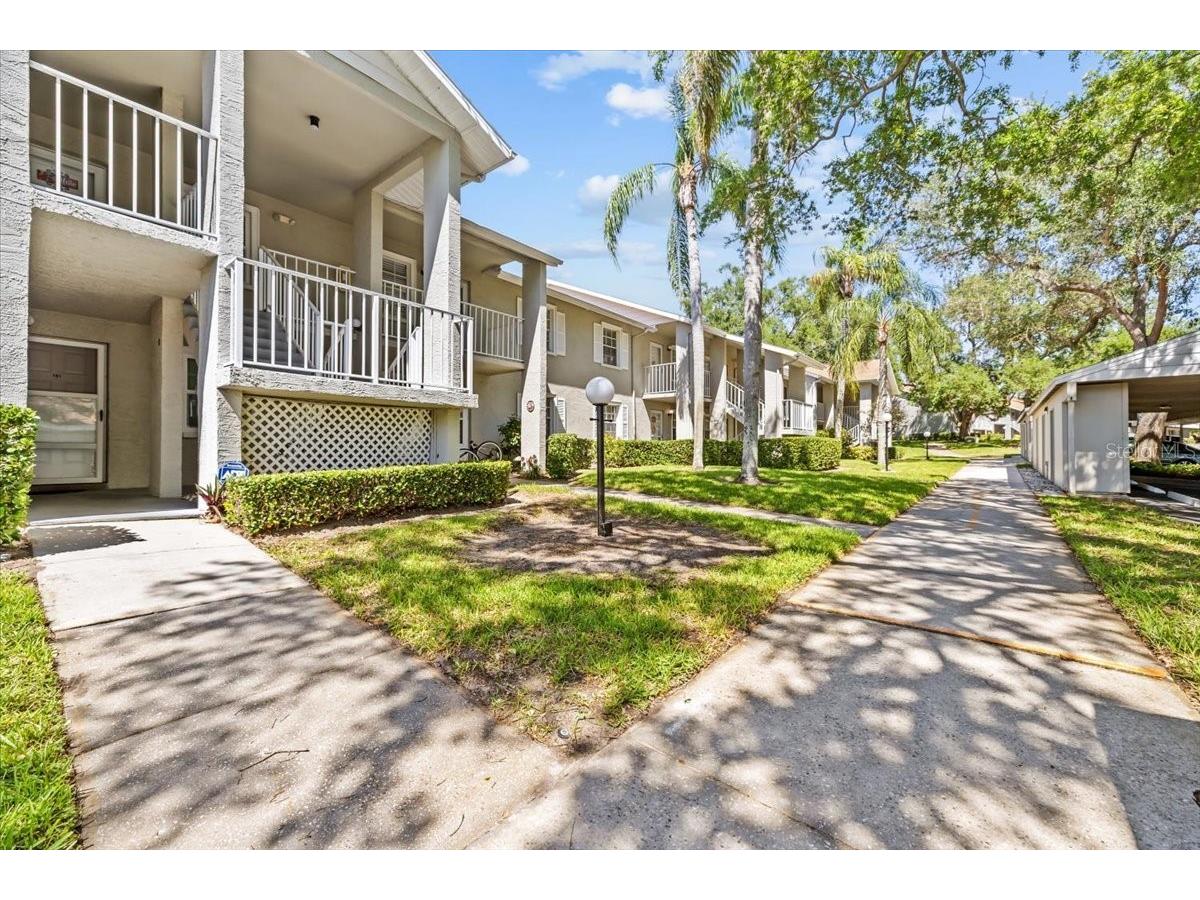1390 Oak Hill Drive #202 Dunedin FL 34698 TB8498594 image5