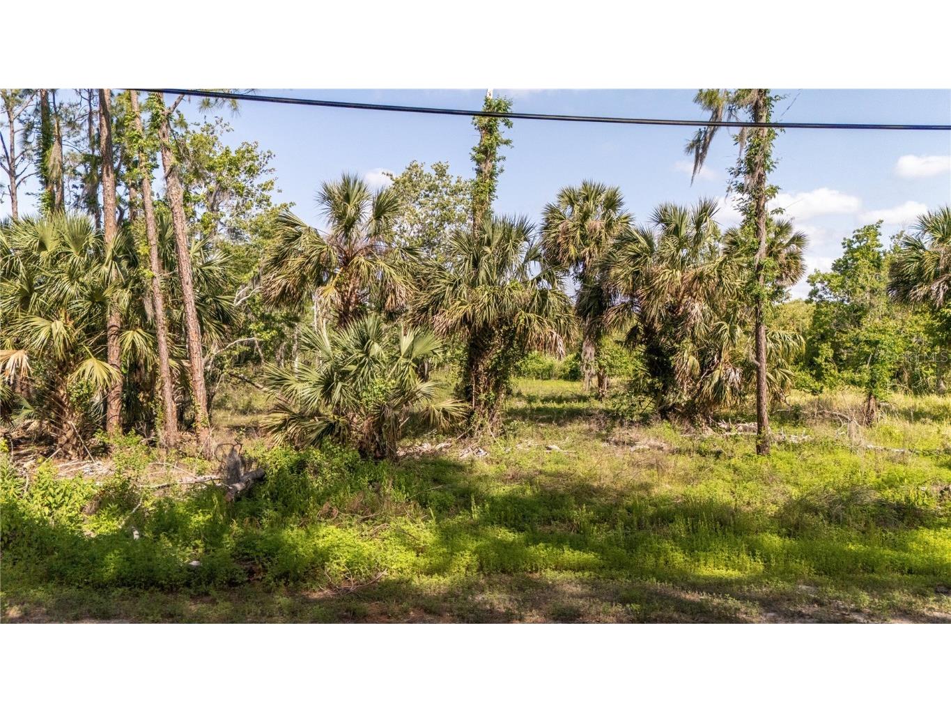 1390 Sioux Trail Enterprise FL 32725 O6304355 image9