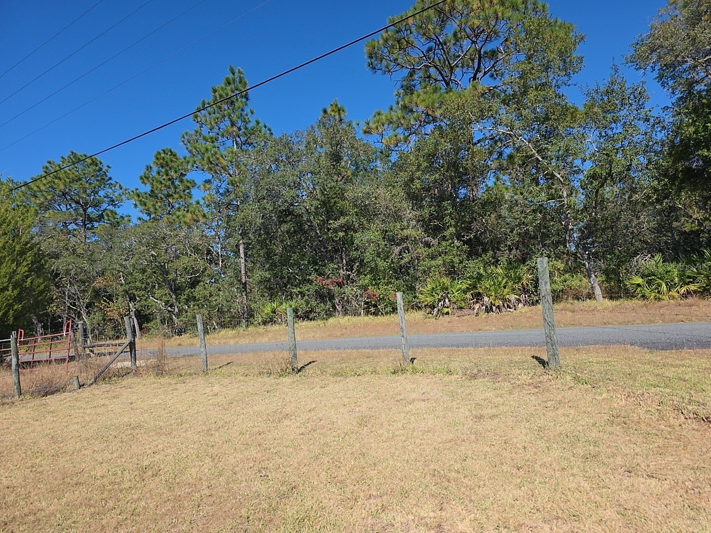 1390 and 1428 W Noble Street Lecanto FL 34461 TB8525740 image13