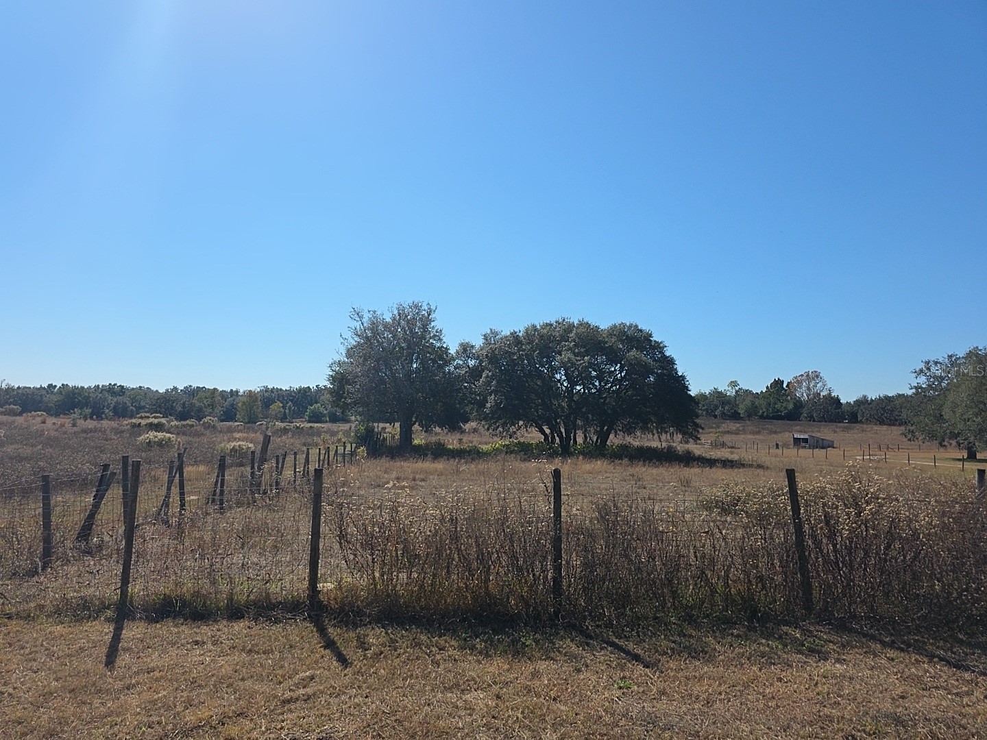 1390 and 1428 W Noble Street Lecanto FL 34461 TB8525740 image16