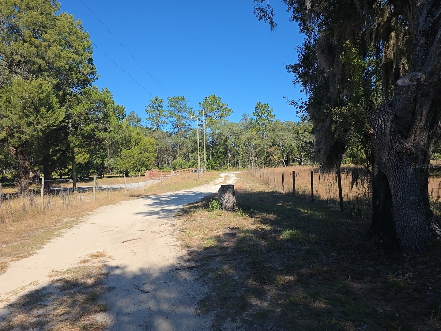 1390 and 1428 W Noble Street Lecanto FL 34461 TB8525740 image20