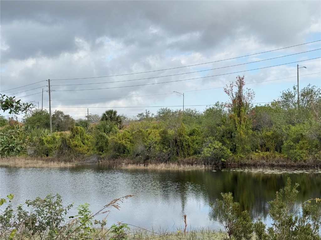 13900 Corrine Key Place Orlando FL 32824 O6279210 image4