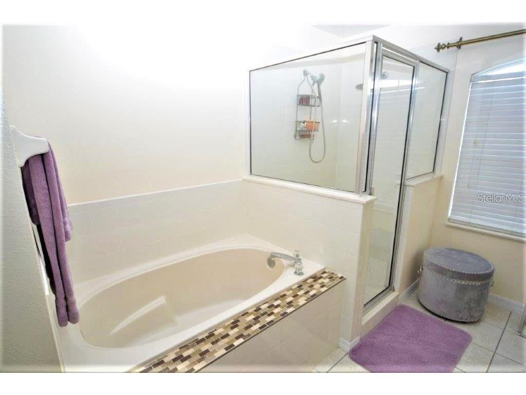 13900 Fox Glove Street Winter Garden FL 34787 S5143671 image22