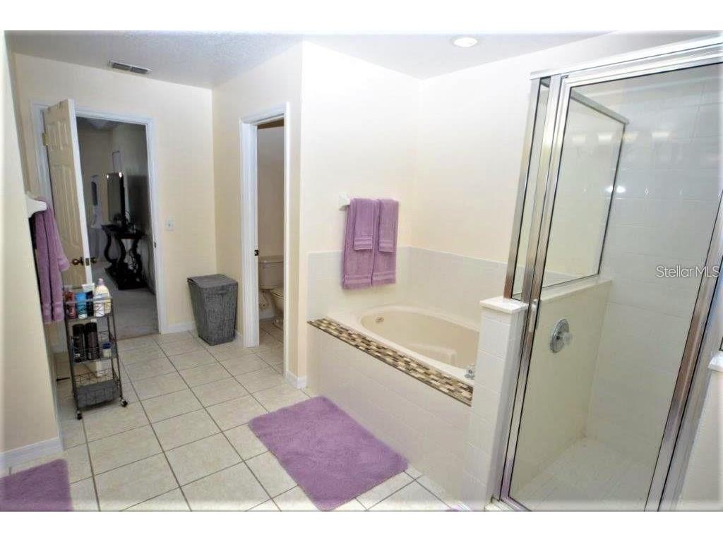 13900 Fox Glove Street Winter Garden FL 34787 S5143671 image24