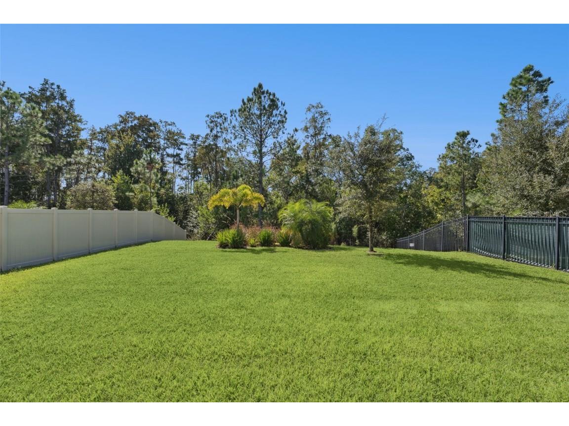 13900 Lanyard Way Winter Garden FL 34787 O6353670 image42