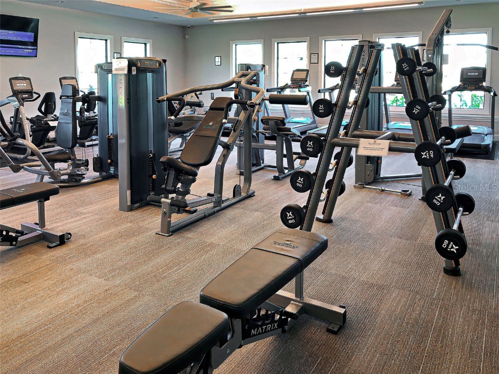 13900 Miranese Street Venice FL 34293 N6139715 image85