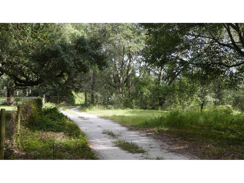 13900 SE 176th Place Weirsdale FL 32195 W7859094 image1