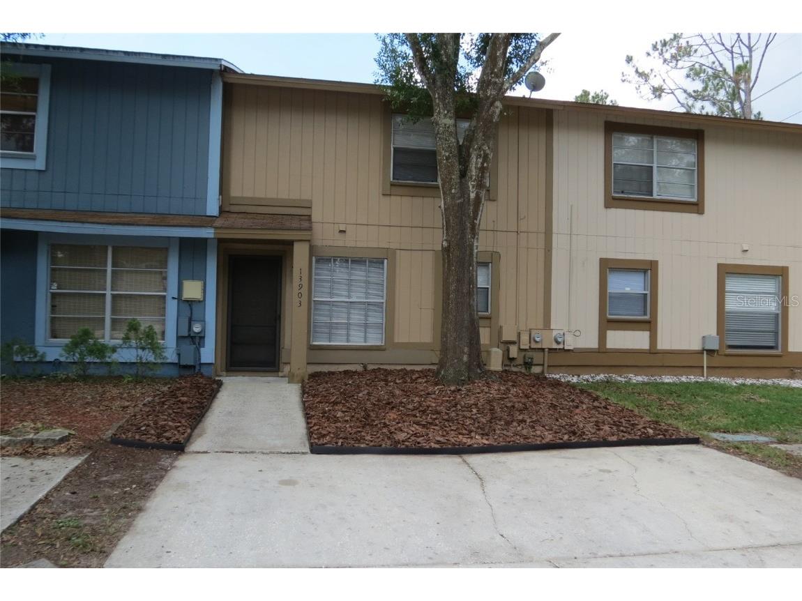 13903 Village View Drive Tampa FL 33624 T3446953 image1