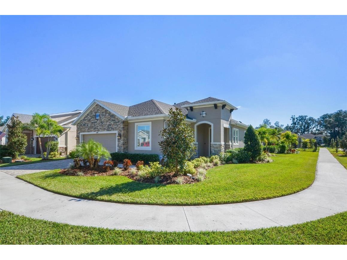 13906 Natures Reserve Drive Lithia FL 33547 T3343489 image1