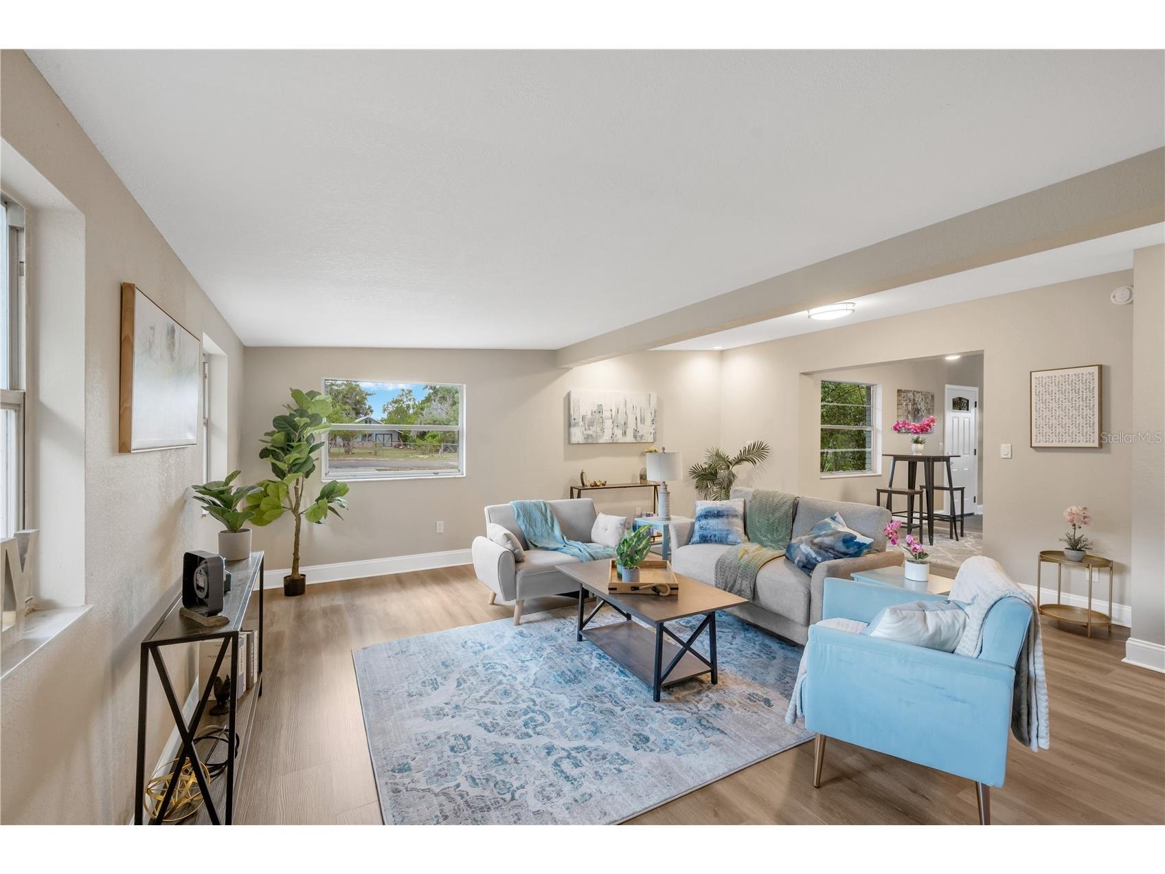 13906 Raulerson Road Riverview FL 33569 TB8502881 image5