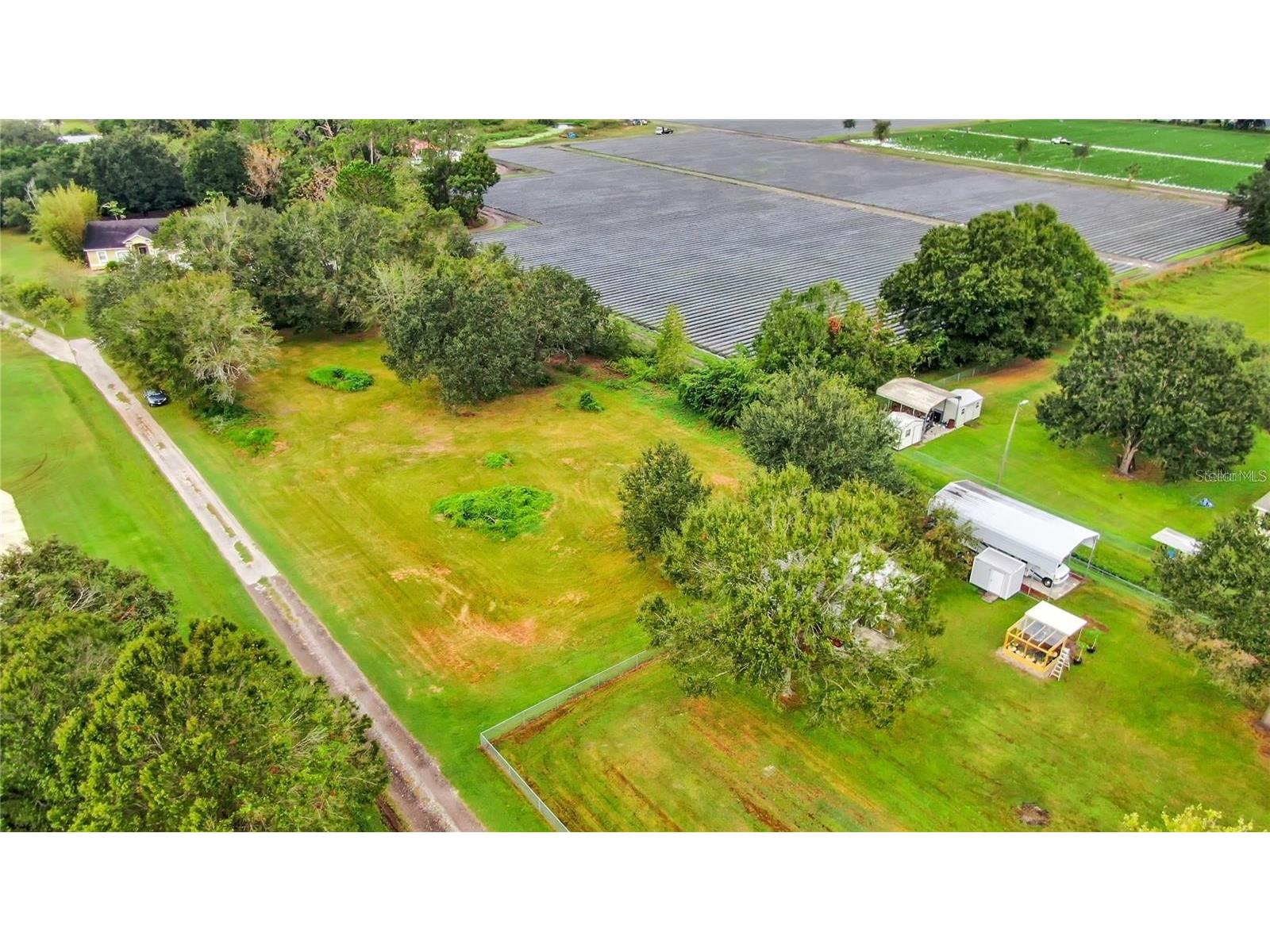 13906 Sweet Blossom Court Dover FL 33527 TB8482969 image1
