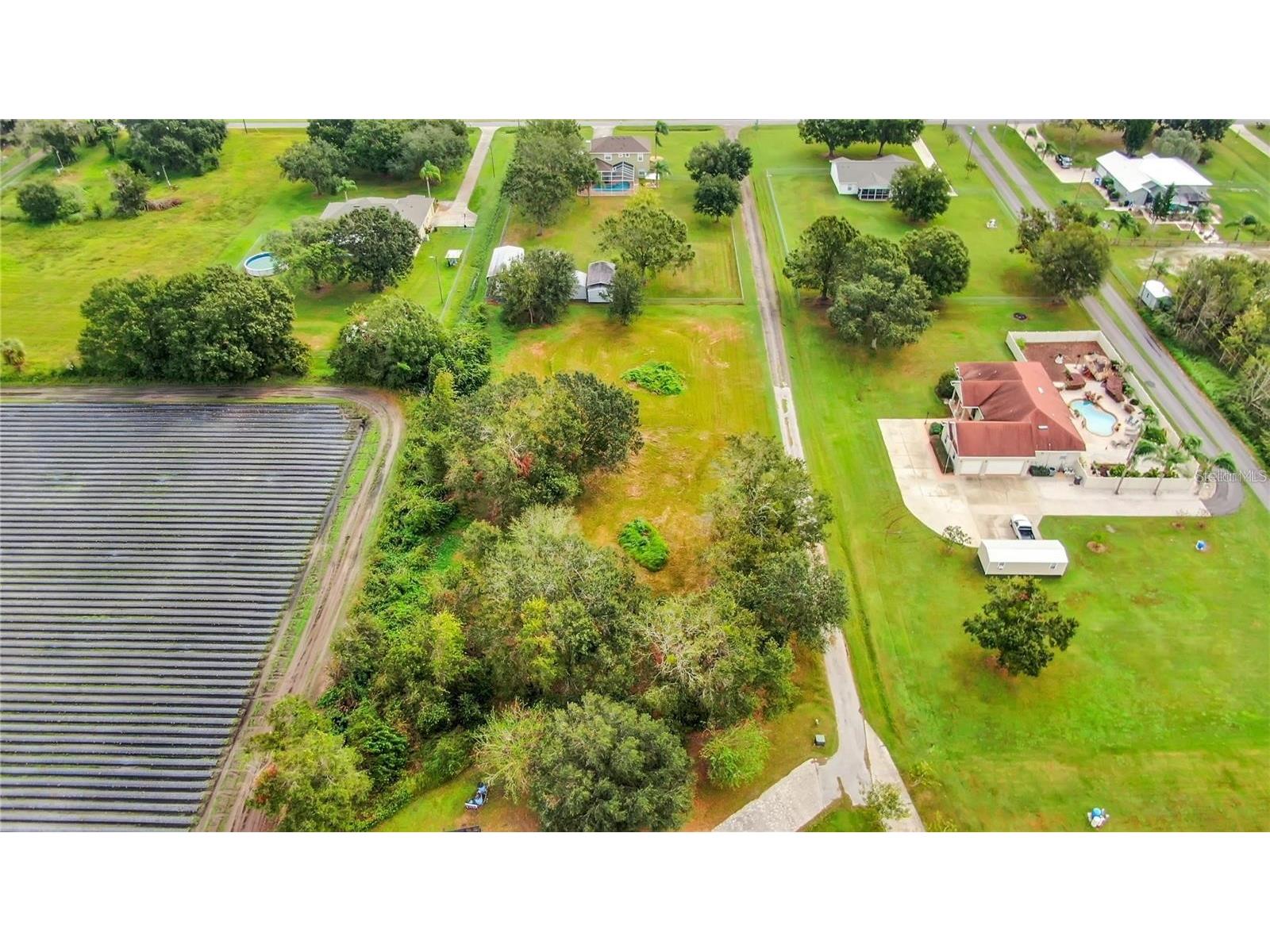 13906 Sweet Blossom Court Dover FL 33527 TB8482969 image3