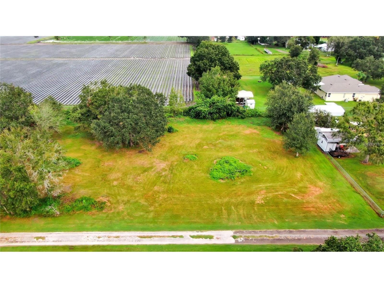 13906 Sweet Blossom Court Dover FL 33527 TB8482969 image4