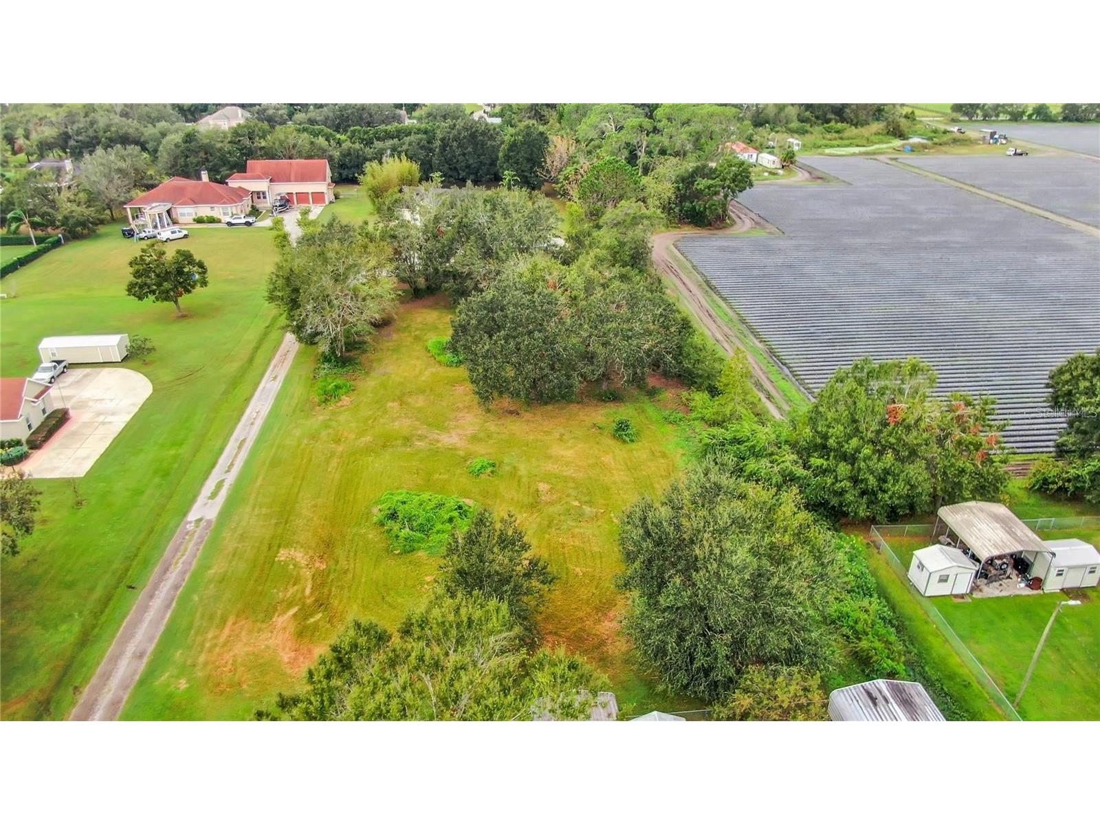13906 Sweet Blossom Court Dover FL 33527 TB8482969 image6