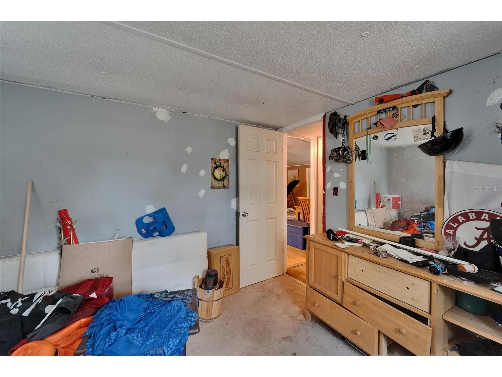 13907 Raulerson Road #PARCEL A Riverview FL 33569 TB8378993 image26