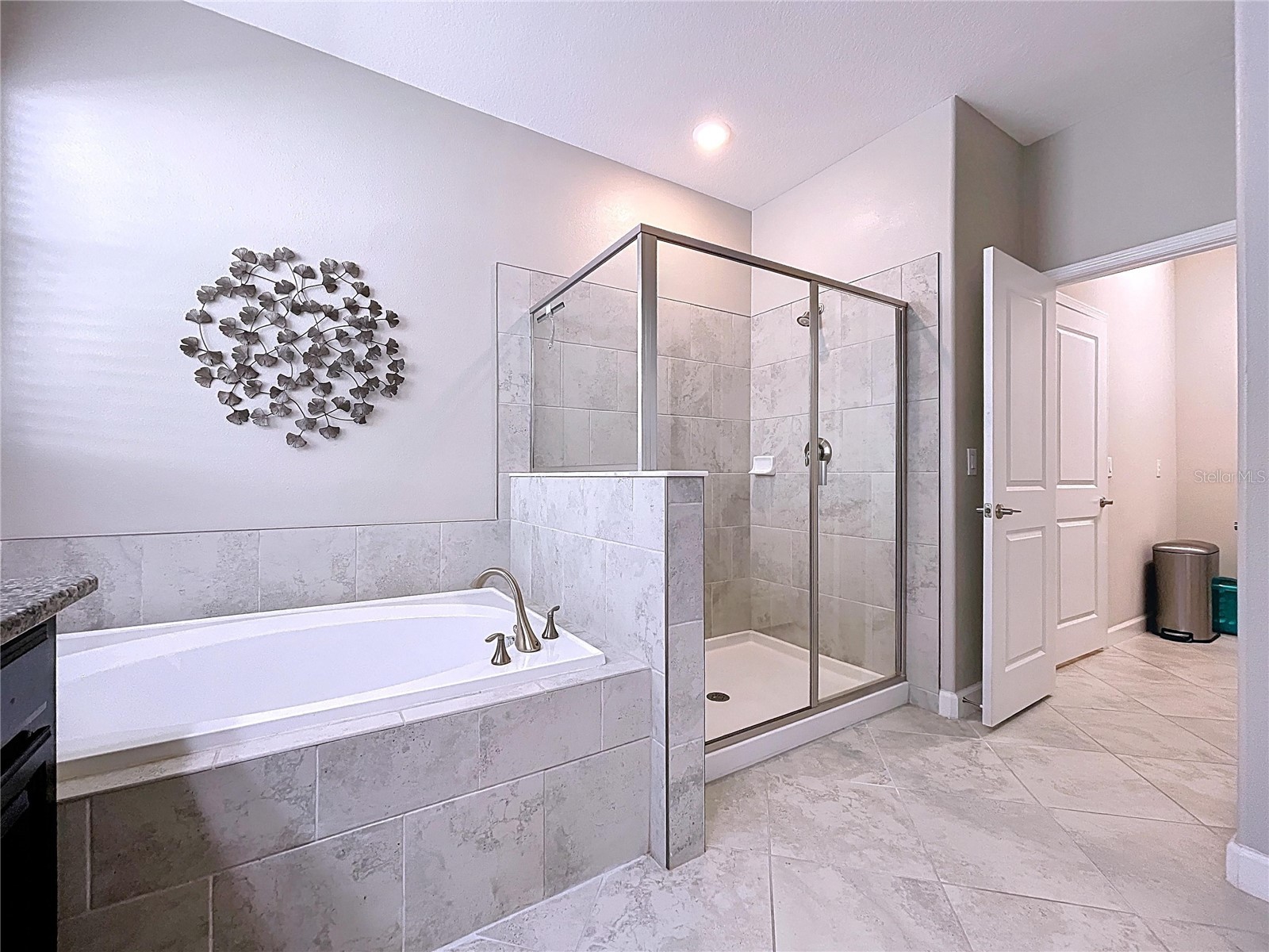 13907 Roseate Tern Lane Riverview FL 33579 TB8475467 image30