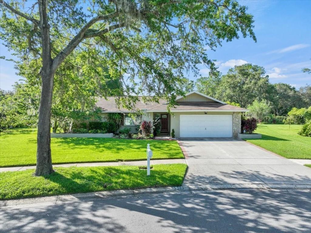 13907 Wolcott Drive Tampa FL 33624 T3459771 image1