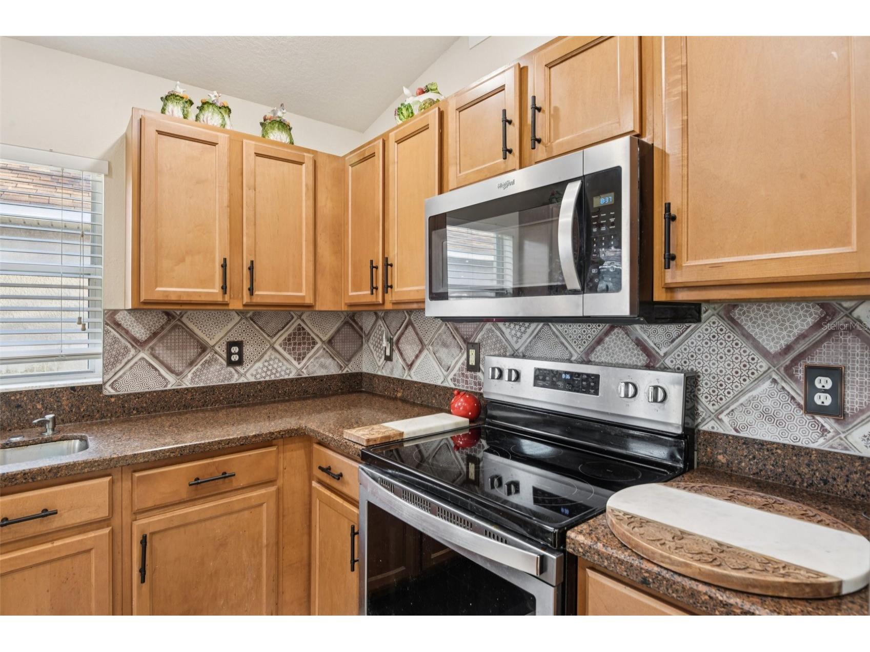 13908 Chalk Hill Place Riverview FL 33579 TB8505813 image14