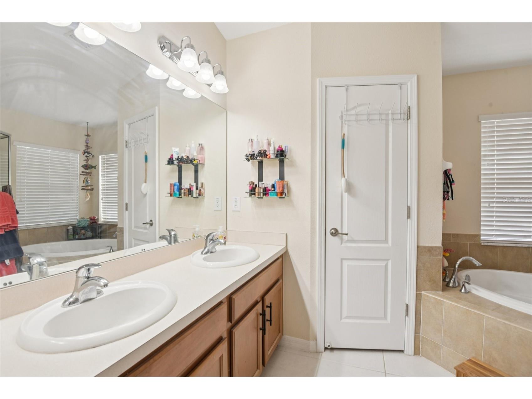 13908 Chalk Hill Place Riverview FL 33579 TB8505813 image17