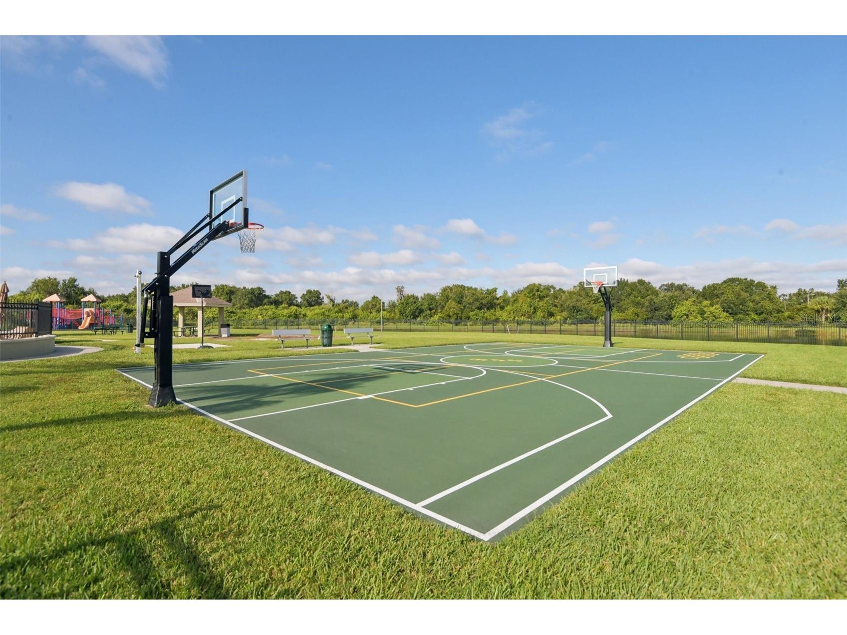 13908 Chalk Hill Place Riverview FL 33579 TB8505813 image35