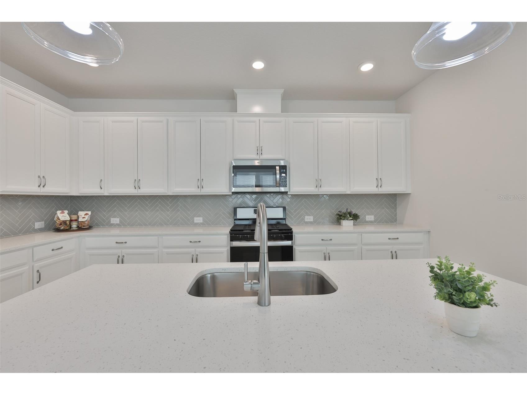13908 Kingfisher Glen Drive Lithia FL 33547 TB8471822 image17