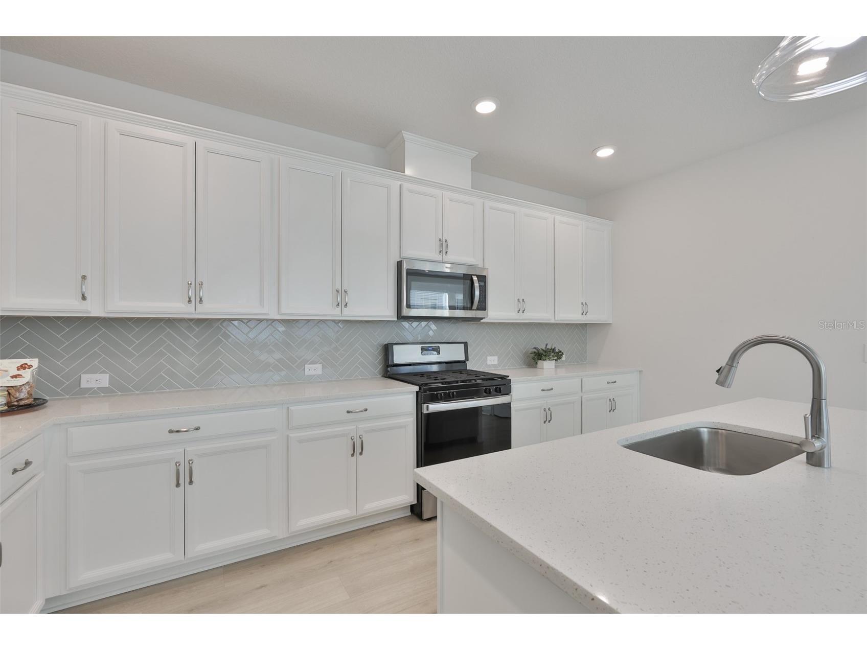 13908 Kingfisher Glen Drive Lithia FL 33547 TB8471822 image19