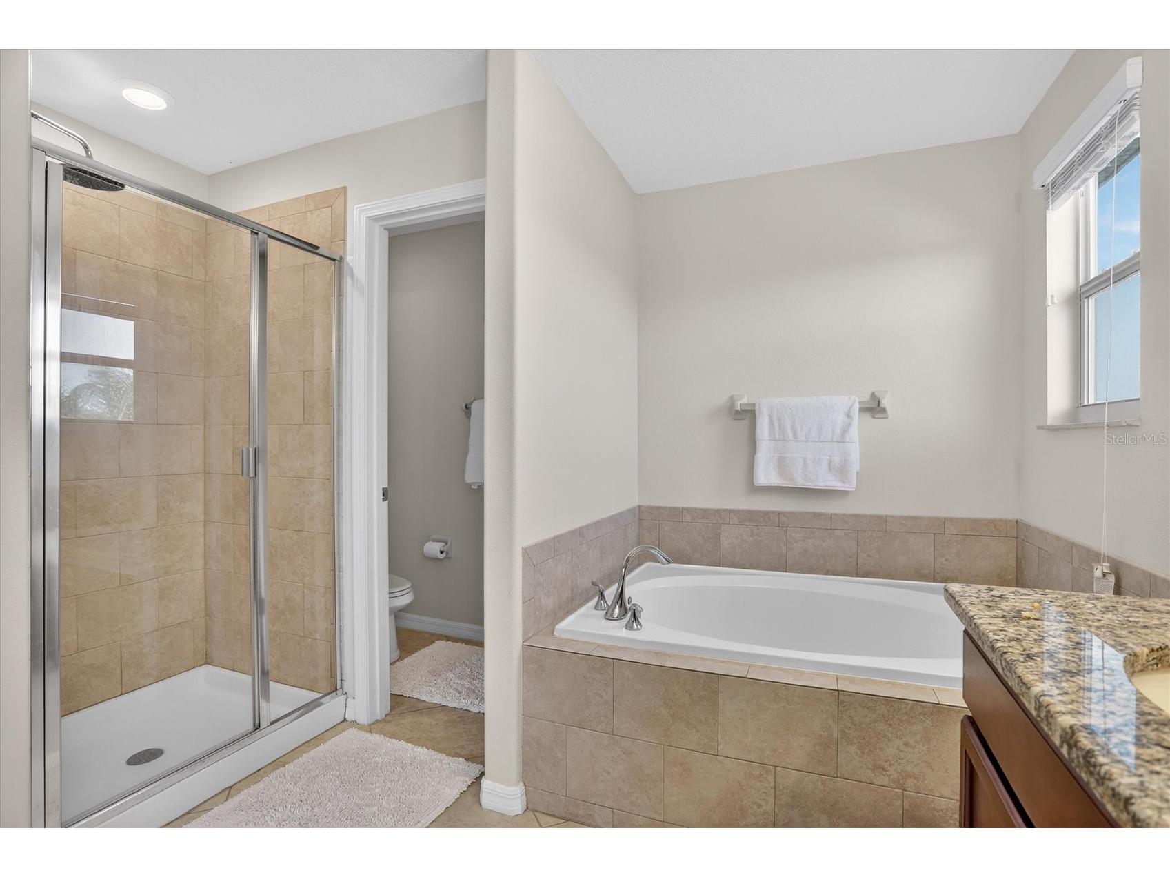 13908 Tensaw Drive Hudson FL 34669 TB8488897 image34