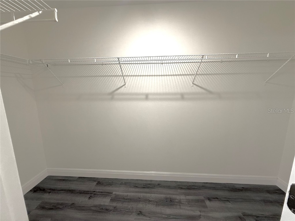 13909 Arbor Pines Drive Riverview FL 33579 TB8457166 image26