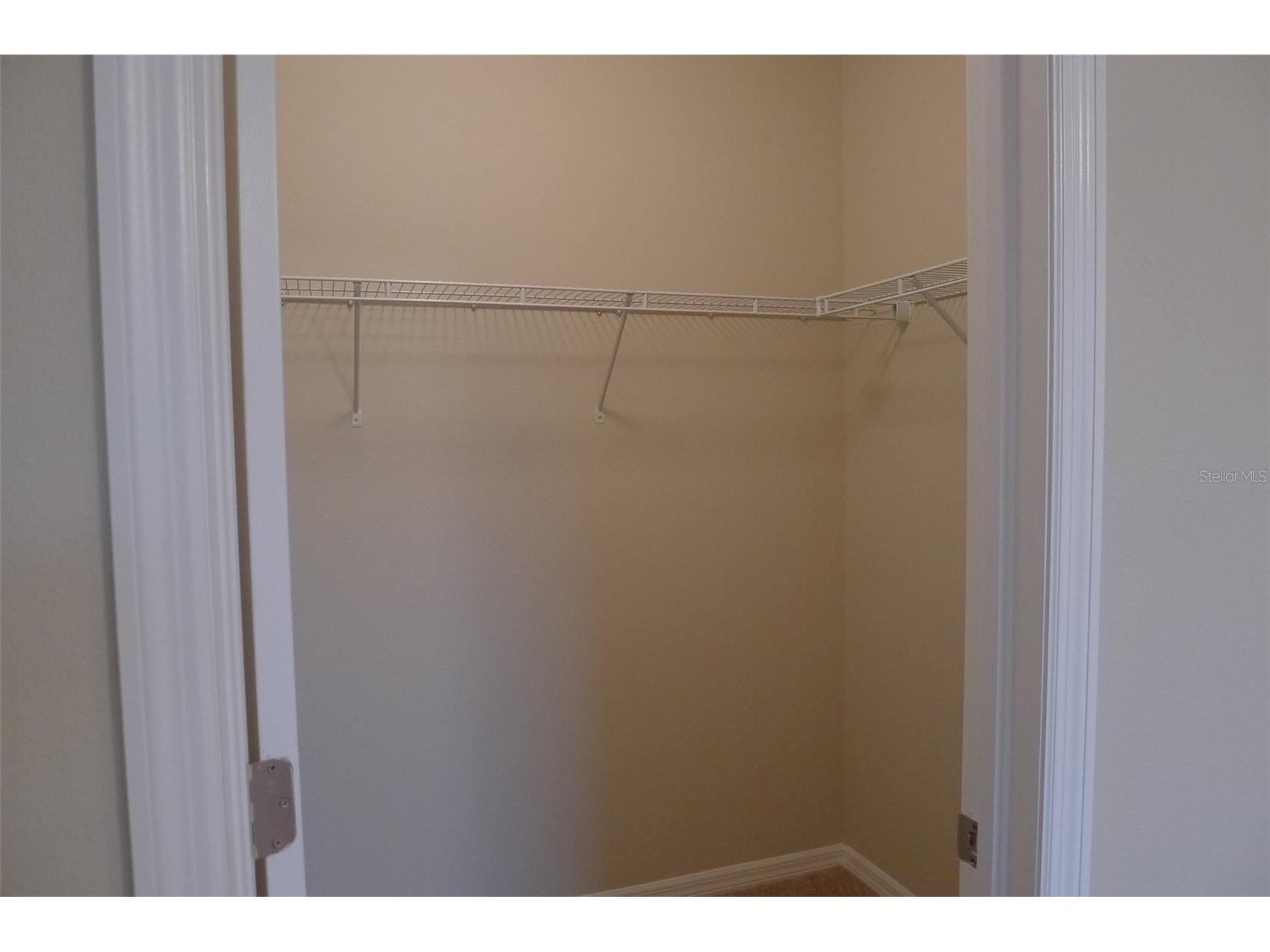 13909 River Willow Place Tampa FL 33637 TB8503732 image9