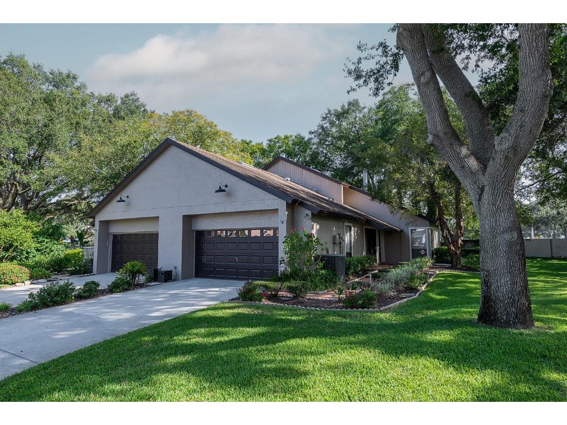 13909B Bardmoor Place #B Tampa FL 33618 T3478178 image1